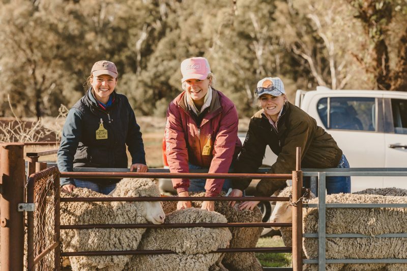 NEW OPPORTUNITY TO SUPPORT THE HAY INC RURAL EDUCATION PROGRAM