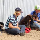 Hay Inc students and dogs