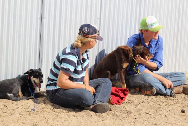 Hay Inc students and dogs