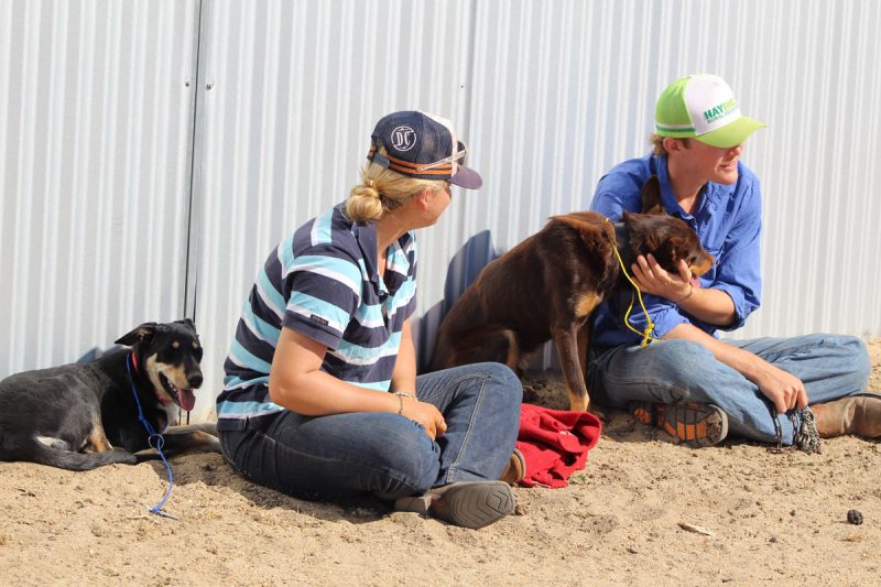 Applications are NOW OPEN for the 2026 Hay Inc Rural Education Program.