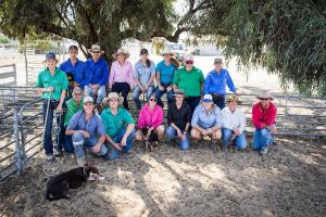 2019 Hay Inc dog training group
