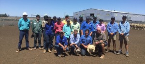 Hay Inc Group 2016 at Wyvern  with AWI caps